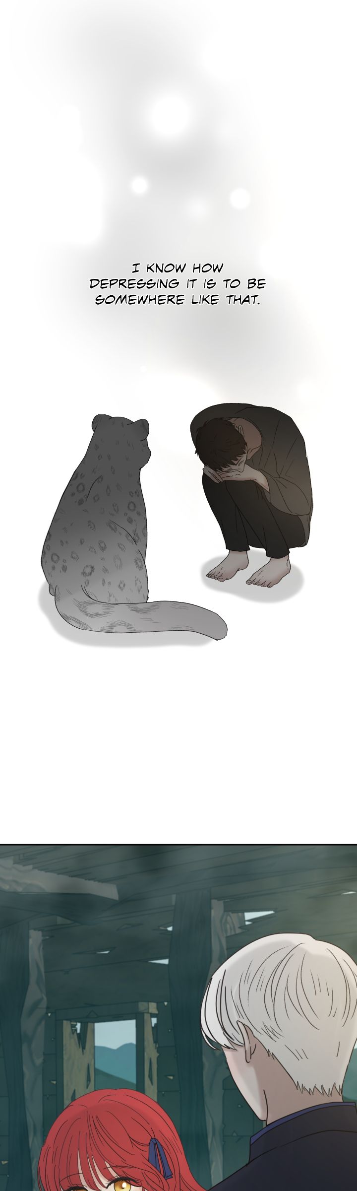 65774455 720 2400 100509